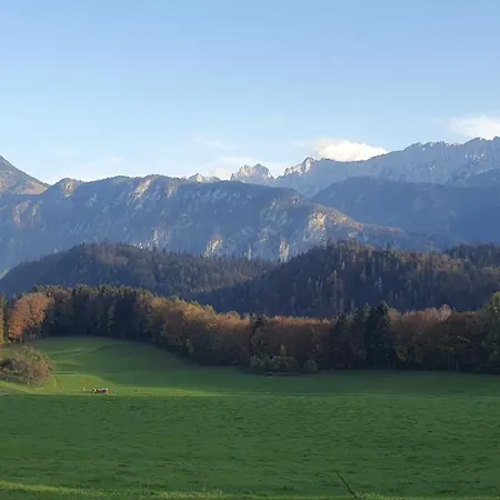 Kaiserpanorama Apartment