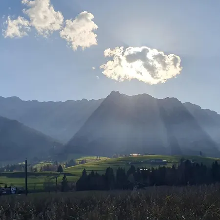 Kaiserpanorama 아파트 *